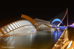 Arkkitehtuuri-Taiteiden-kaupunki