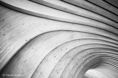 Minimalismia-Puusta-saa