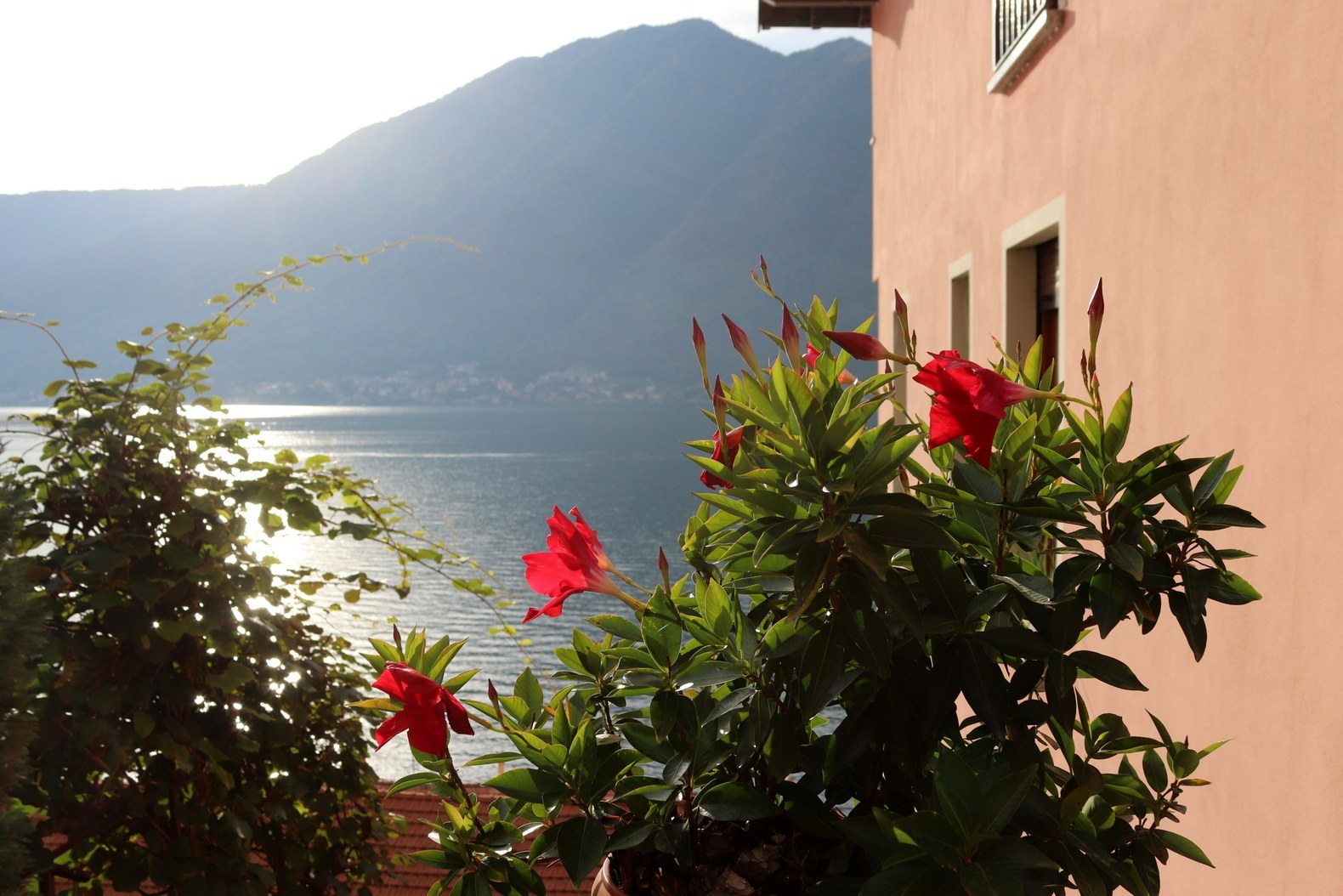 Italia