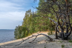kontiolahti2