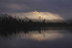 WONDERFULL NATURE