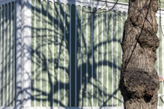 20230422-_4220270